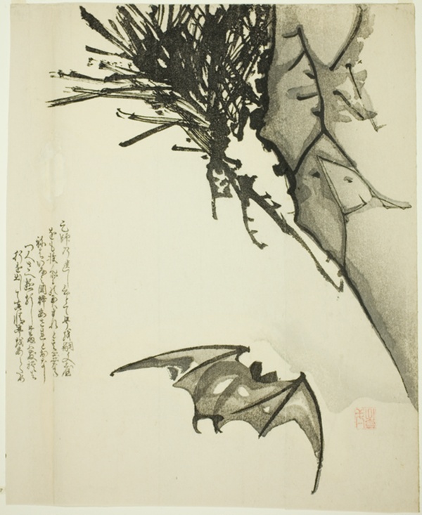 A Bat Flying near a Pine Tree